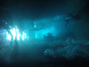 武藤潜水に投稿された画像（2020/8/17）