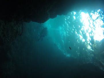武藤潜水に投稿された画像（2020/8/17）