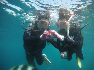 武藤潜水に投稿された画像（2020/8/17）