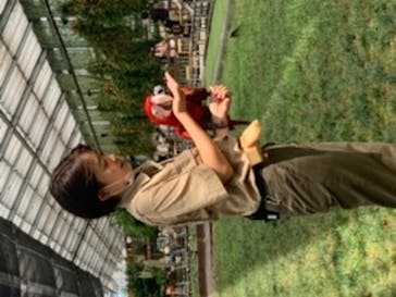 神戸どうぶつ王国に投稿された画像（2020/8/17）