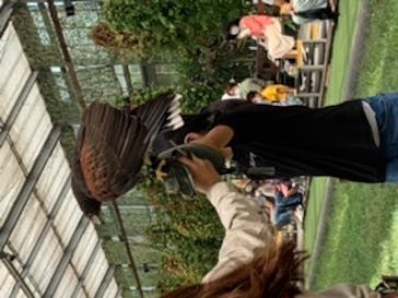 神戸どうぶつ王国に投稿された画像（2020/8/17）