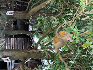 伊豆シャボテン動物公園に投稿された画像（2020/8/17）