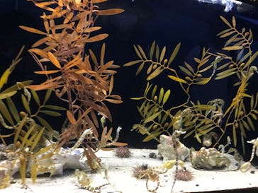 株式会社Gに投稿された画像（2020/8/17）