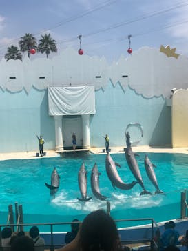 株式会社Gに投稿された画像（2020/8/17）