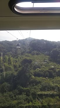 伊豆パノラマパークに投稿された画像（2020/8/17）