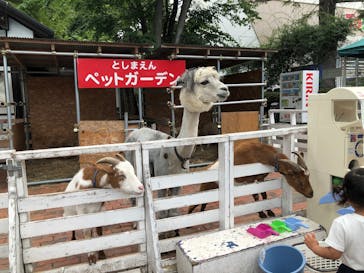 としまえんに投稿された画像（2020/8/17）