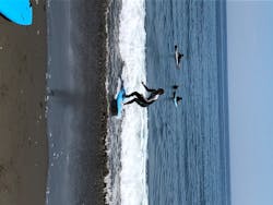 SURF SHOP MORE（サーフショップ モア）に投稿された画像（2020/8/17）