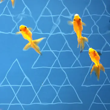 すみだ水族館に投稿された画像（2020/8/17）