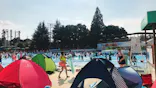 としまえんに投稿された画像（2020/8/17）