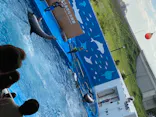 仙台うみの杜水族館に投稿された画像（2020/8/17）