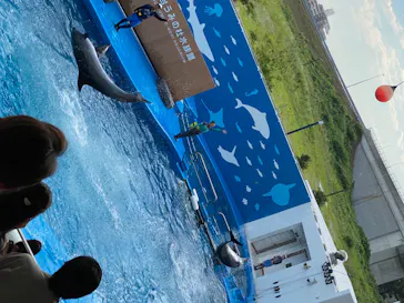 仙台うみの杜水族館に投稿された画像（2020/8/17）