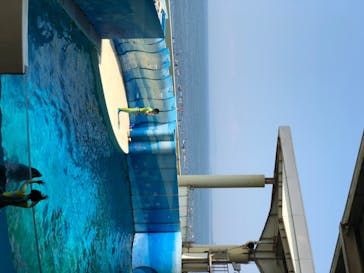 新江ノ島水族館に投稿された画像（2020/8/17）