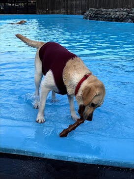 わんダフルネイチャーヴィレッジに投稿された画像（2020/8/17）