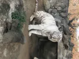東武動物公園に投稿された画像（2020/8/17）