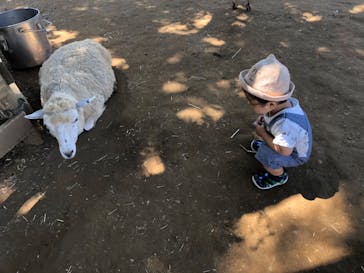 成田ゆめ牧場に投稿された画像（2020/8/17）