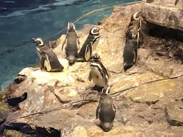 すみだ水族館に投稿された画像（2020/8/17）