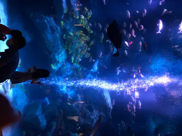 すみだ水族館に投稿された画像（2020/8/17）