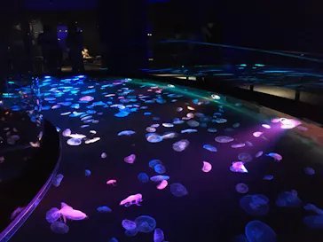 すみだ水族館に投稿された画像（2020/8/17）