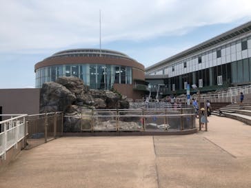 アクアワールド茨城県大洗水族館に投稿された画像（2020/8/17）