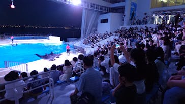 マリンワールド海の中道に投稿された画像（2020/8/17）