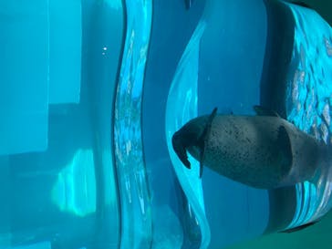 マリンワールド海の中道に投稿された画像（2020/8/17）