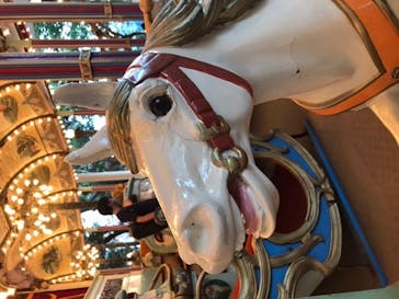 としまえんに投稿された画像（2020/8/17）