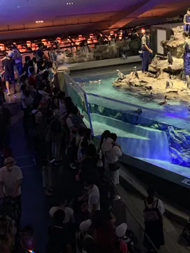すみだ水族館に投稿された画像（2020/8/17）