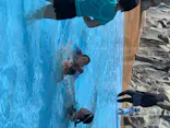 東武動物公園に投稿された画像（2020/8/18）