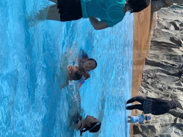 東武動物公園に投稿された画像（2020/8/17）