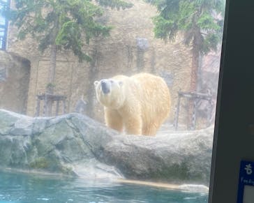 旭川市旭山動物園に投稿された画像（2020/8/17）