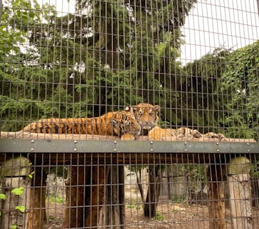 旭川市旭山動物園に投稿された画像（2020/8/17）