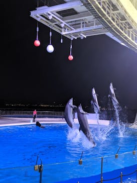 マリンワールド海の中道に投稿された画像（2020/8/17）