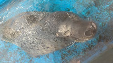 株式会社Gに投稿された画像（2020/8/17）