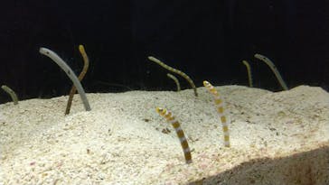 株式会社Gに投稿された画像（2020/8/17）