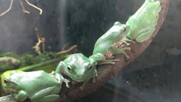 株式会社Gに投稿された画像（2020/8/17）