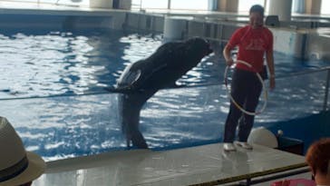 アクアワールド茨城県大洗水族館に投稿された画像（2020/8/17）