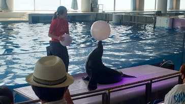 アクアワールド茨城県大洗水族館に投稿された画像（2020/8/17）