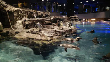 すみだ水族館に投稿された画像（2020/8/18）