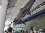 アクアワールド茨城県大洗水族館に投稿された画像（2020/8/18）