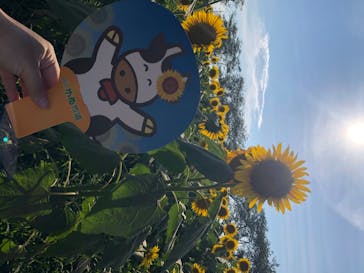 成田ゆめ牧場に投稿された画像（2020/8/18）