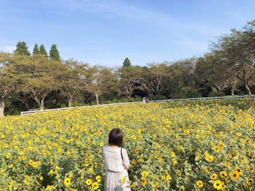 成田ゆめ牧場に投稿された画像（2020/8/18）