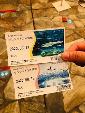 サンシャイン水族館に投稿された画像（2020/8/18）
