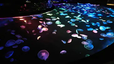 すみだ水族館に投稿された画像（2020/8/18）