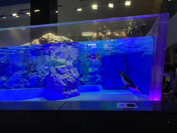 すみだ水族館に投稿された画像（2020/8/18）