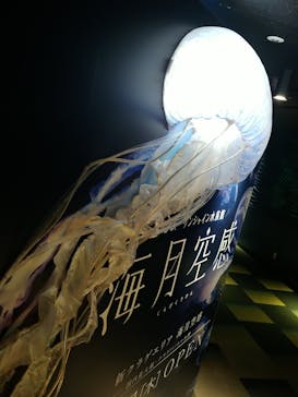 サンシャイン水族館に投稿された画像（2020/8/18）