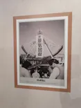 としまえんに投稿された画像（2020/8/18）