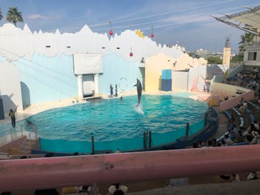 株式会社Gに投稿された画像（2020/8/18）