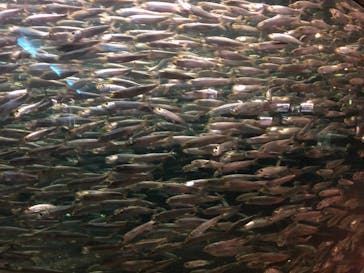 株式会社Gに投稿された画像（2020/8/18）