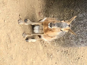 伊豆シャボテン動物公園に投稿された画像（2020/8/18）