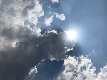 としまえんに投稿された画像（2020/8/18）